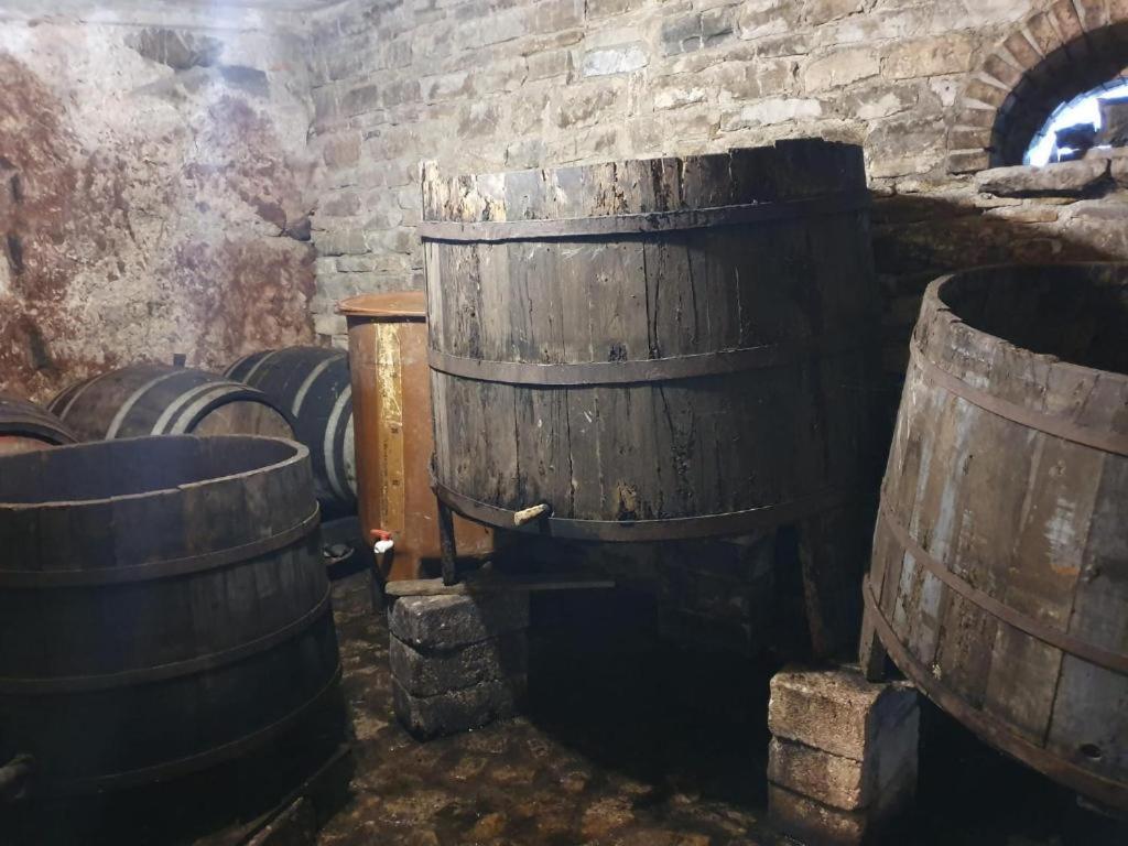 Agriturismo Radici Contadine Bisaccia Экстерьер фото